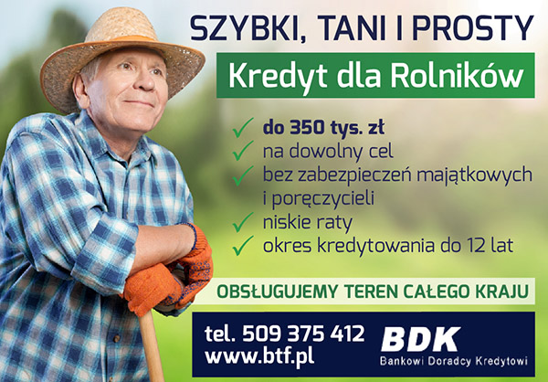 Szybki, Tani i Prosty Kredyt do 350 000 zł (Cała Polska)