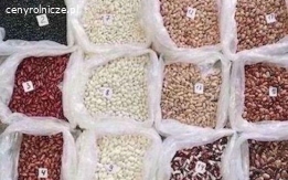 Beans from the fields of Ukraine. Beans of different varieties and high quality.