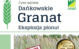Kwalifikowane nasiona żyta ozimego Dańkowskie Granat C/1