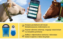 Sense Hub - monitorowanie bydła